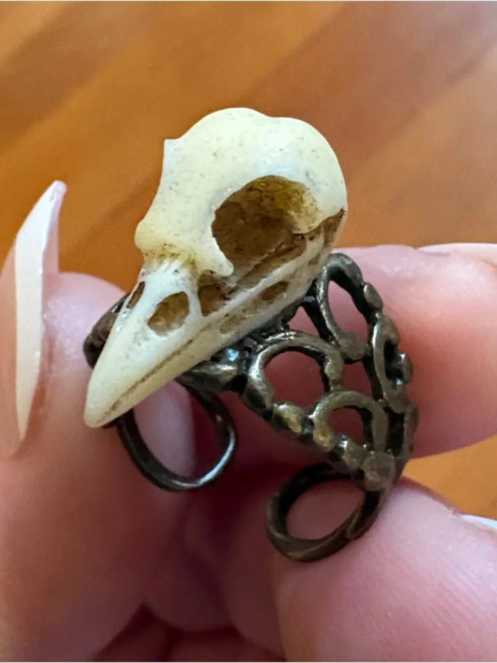 Hand-Crafted Adjustable Bird Skull Ring with Antique Brass Band - Cream & Brass